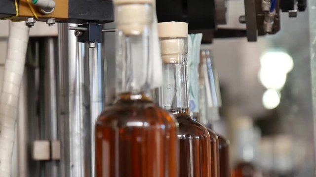 Produzione liquore in bottiglia