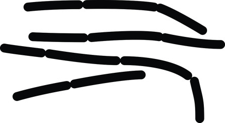 bulgaricus icon, vector