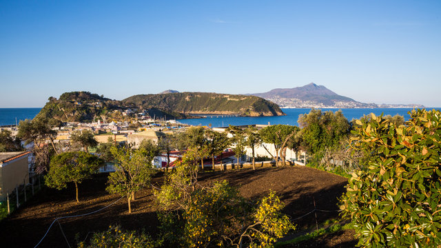 Procida (Napoli, Italy) - View of Ischia, Vivara and Chiaiolella bay