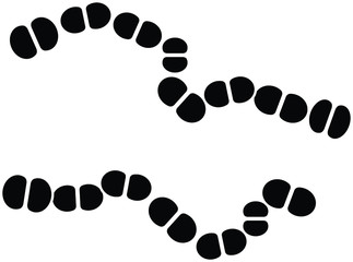 streptococcus icon, vector