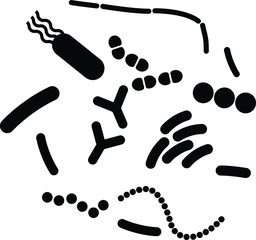 Probiotics icon, vector