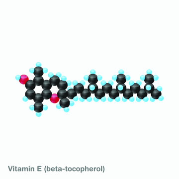 The molecule of vitamin E (beta-tocopherol). Vector illustration in 3d style, isolated on white background.