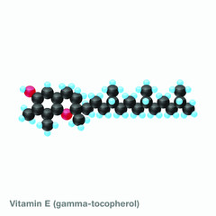 The molecule of vitamin E (gamma-tocopherol). Vector illustration in 3d style, isolated on white background.