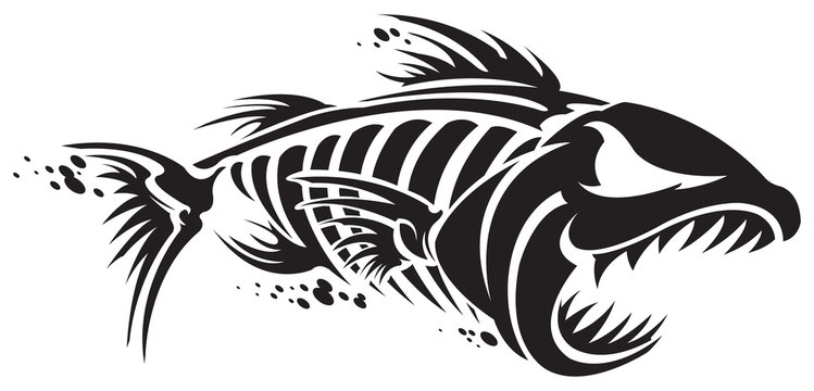 Fish Skeleton Images – Browse 25,849 Stock Photos, Vectors, and