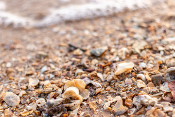 Beautiful background images of sand and small stones.