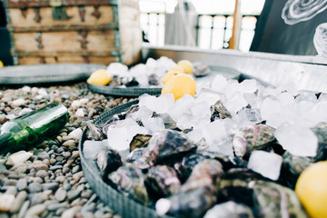 fresh oyster meat in a plate with ice and lemon slices at a street market