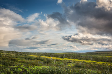 field and blue sky