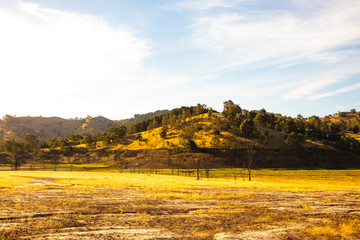 Change in ground surface colour signifying where lake water level should be
