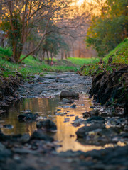 Creek at sunset