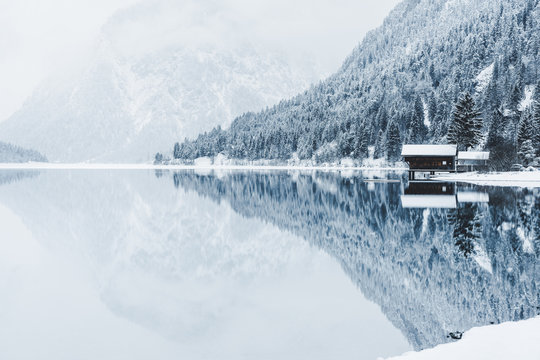 plansee