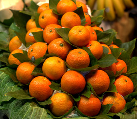 Group of oranges in a market in Barcelona