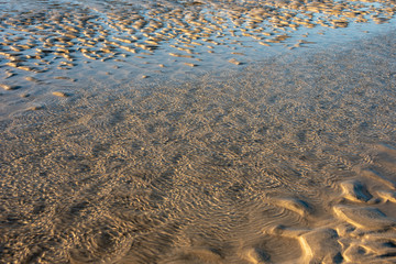 Sand and water on the beach. Abstract background in selective focus. 