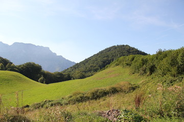 Fototapeta na wymiar green hills