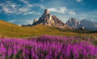 Fototapeta na wymiar Scenic image of Dolomites Alps. Wonderful sunny Landscape. Great view on famouse Ra Gusela peak, perfect sky and pink flowers on background. Awesome alpine highlands in sunny day. stunning scenery