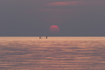 Stand up paddle boarding on quiet sea