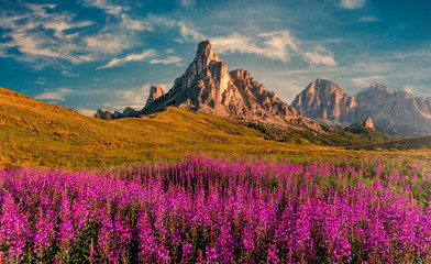 Fototapeta na wymiar Scenic image of Dolomites Alps. Wonderful sunny Landscape. Great view on famouse Ra Gusela peak, perfect sky and pink flowers on background. Awesome alpine highlands in sunny day. stunning scenery