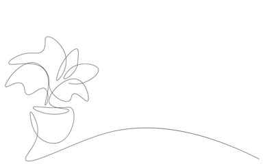 Plant in pot line drawing on white background vector illustration