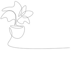 Plant in pot line drawing on white background vector illustration