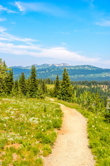 Fototapeta premium Beautiful Mountain Trail. Blackwall Peak Trail at Manning Park in British Columbia. Canada.