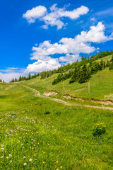 Fototapeta premium Beautiful landscape of valley in Alpine mountains, small trail, hike root, majestic picturesque view in sunny day