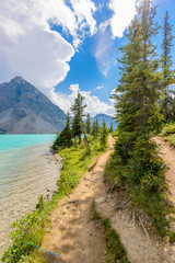 Fototapeta premium Fragment of mountain lake trail in Alberta, Canada, Rocky Mountains.