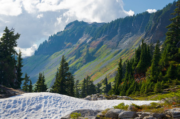 Fragment of a trail in Mount Baker Visitor Center, WA, USA.