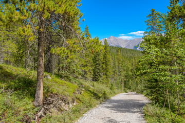 Fototapeta na wymiar Fragment of Grassi Lakes trail in Banff, Alberta, Canada