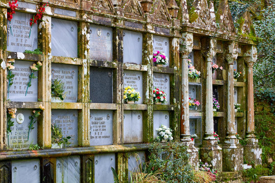 Lápidas y flores en un cementerio