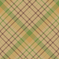 Seamless pattern in cute light and dark brown and green colors for plaid, fabric, textile, clothes, tablecloth and other things. Vector image. 2