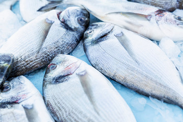 A lot of fresh fish in the market. Fresh catch. View from above. Close-up.