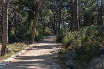 Obraz premium St. Nicholas island