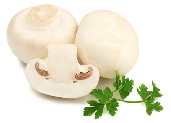 Mushrooms isolated on white background