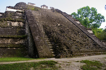 Ruins of ancient maya buildings in the jungle of Tikel, Guatemala