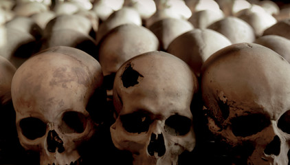 group of human skulls in the foreground