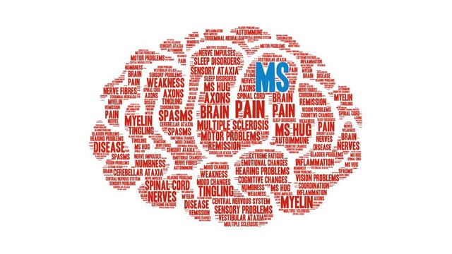 MS animated word cloud on a white background. 