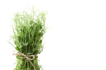 Obraz premium Healthy organic food as present. Bunch of pea springs with tendrils tied with hemp rope copy space