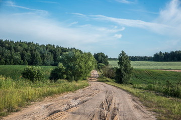 The eastern european rural landscape. Fields and a dirt road leading to a village in central Belarus