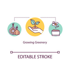 Growing greenery concept icon. Home orangery. Propagating. Planting seeds and flower bulbs. Indoor gardening idea thin line illustration. Vector isolated outline RGB color drawing. Editable stroke