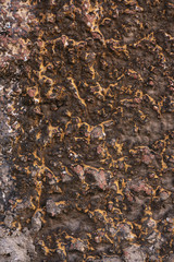 Old black and yellow limestone texture wall background. Top view