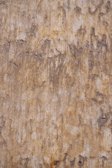 Old yellow and grey rock texture background. Top view