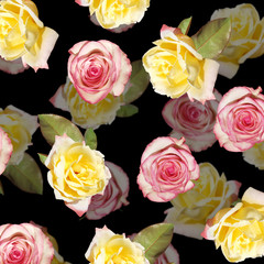 Beautiful floral background of pink and yellow roses. Isolated