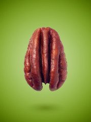 Single pecan isolated on color background