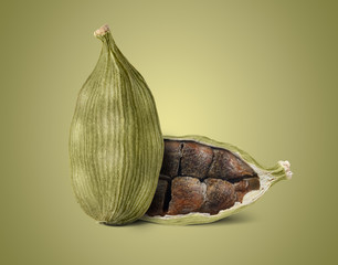 Cardamom pods isolated on colored background