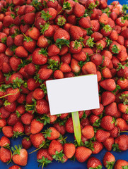 Closeup view of red bright fresh strawberries selling in market. White blank empty paper card...