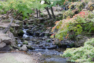 Running water in a creek in the woods, red and green maple leaves during autumn surrounding the creek