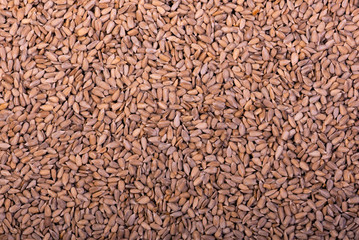 Sunflower seeds background. Texture of seed. Healthy natural food