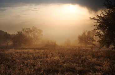 Sunset in the cloudy sky. Summer landscape with trees and grasses.