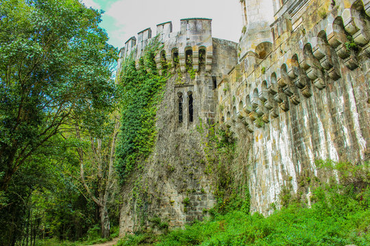 castillo de butron con muchas enredaderas por su fachada 