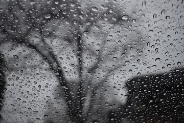rain drops on window