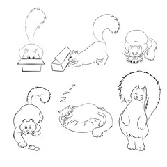 Collection of various figures of a fat happy cat in the style of line art. Set of silhouettes of a pet. Vector illustration. Use for logos of veterinary clinics or pet products. Isolated on a white